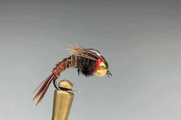 CURVED SHANK PHEASANT TAIL *TUNGSTEN*