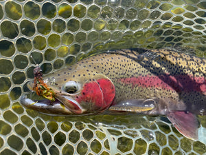 Early Spring = Early Angling