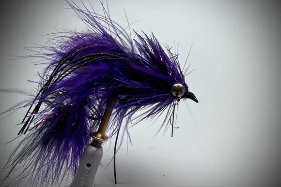 THE FUNKY CHICKEN (PURPLE/BLACK)