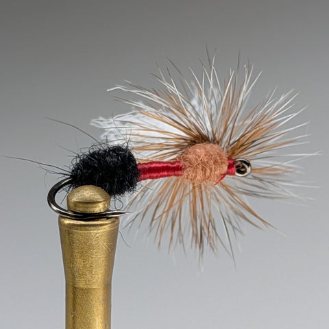 3 TONE ANT (CINAMMON)