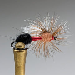 3 TONE ANT (CINAMMON)