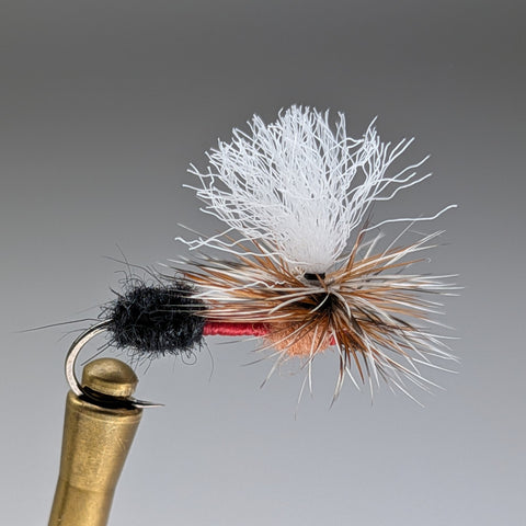 3 TONE ANT (CINAMMON)