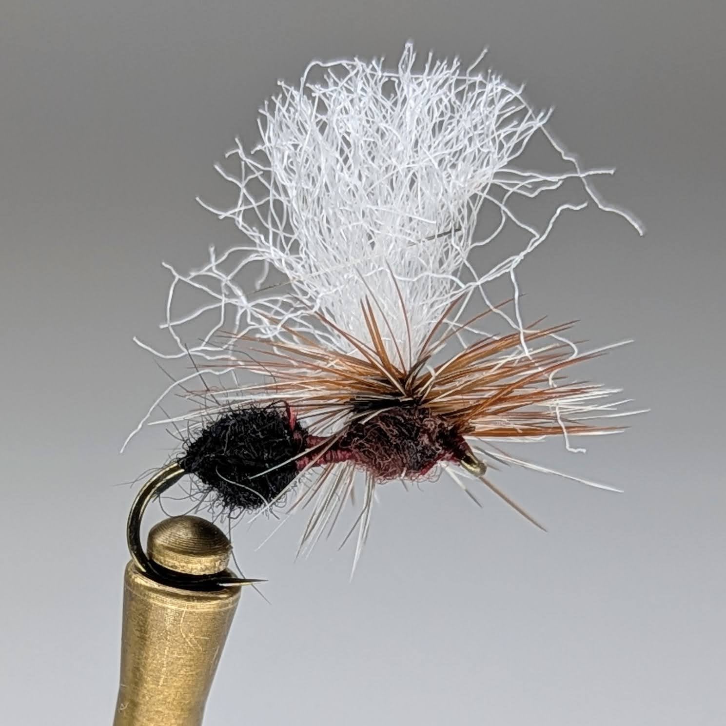 3 TONE ANT (MAHOGANY)