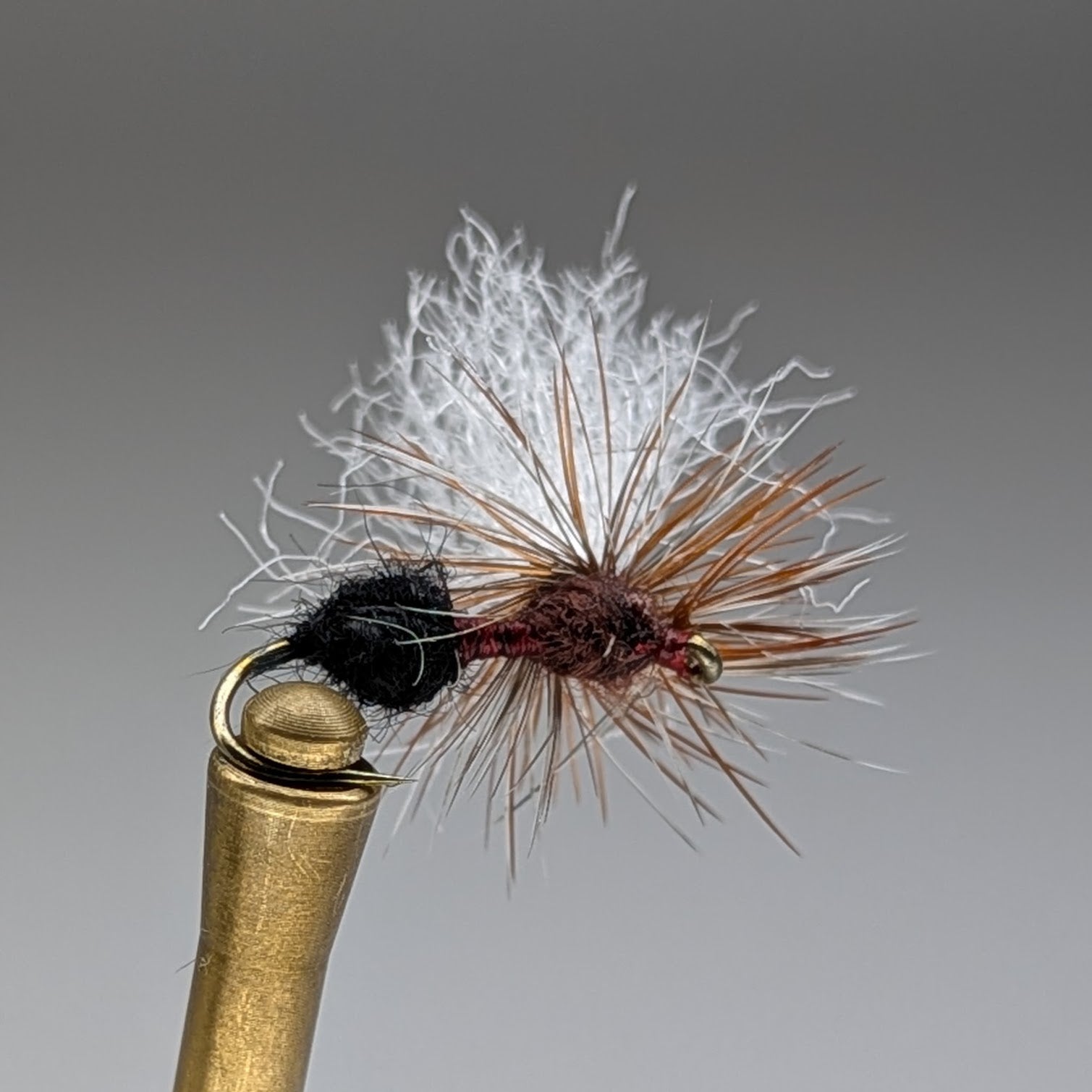 3 TONE ANT (MAHOGANY)