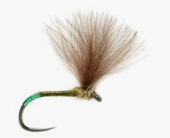 Pearl Butt Olive