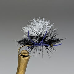 ANTALCIOUS (BLACK W PURPLE THREAD)