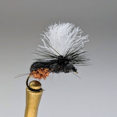 ANTE UP (COPPER BUTT)