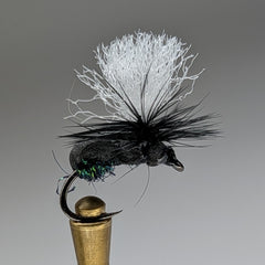 ANTE UP (BLACK)