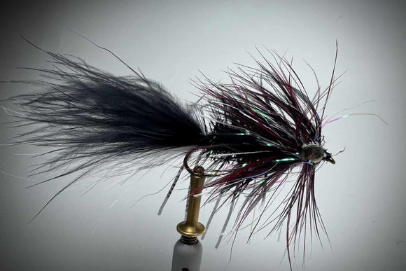 SHAGGY DOO (BLEEDING  ZEBRA)