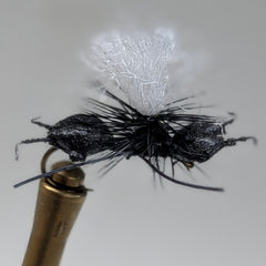 ANTALICIOUS (BLACK)
