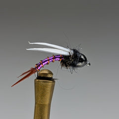 ELECTRIC PURPLE PRINCE *TUNGSTEN*