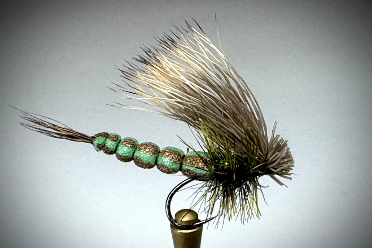 FOAMY DRAKE (GREEN)