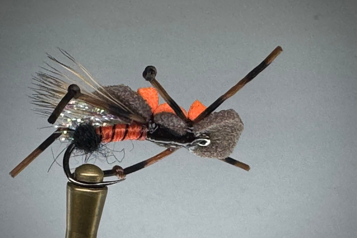 LOW RIDER STONE (SALMON)