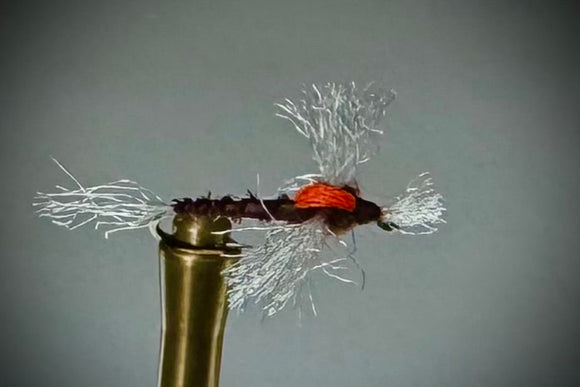 BRIGHT SPOT SPINNER