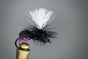 ANTE UP (PURPLE ICE)