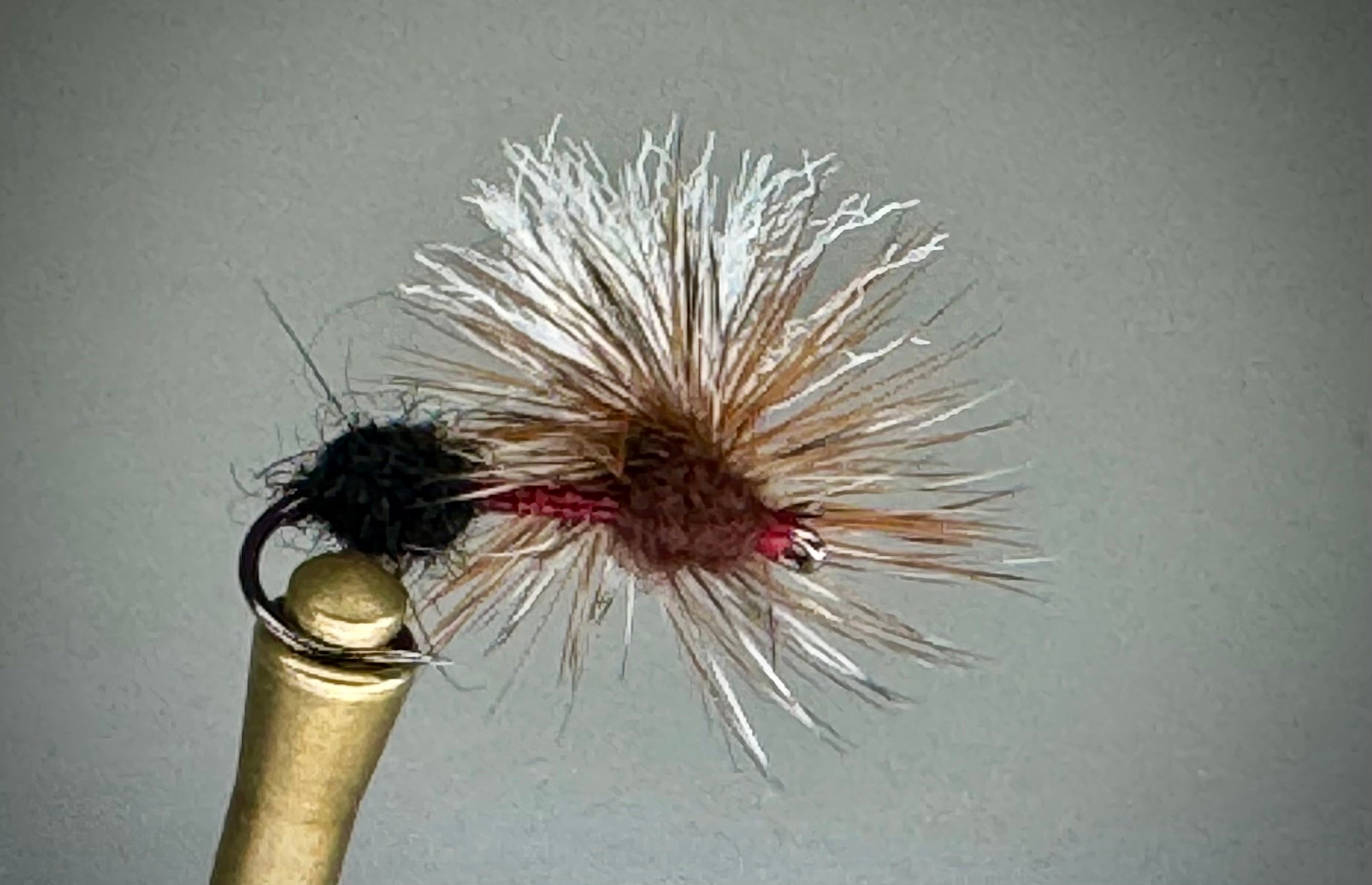 3 TONE ANT (MAHOGANY)