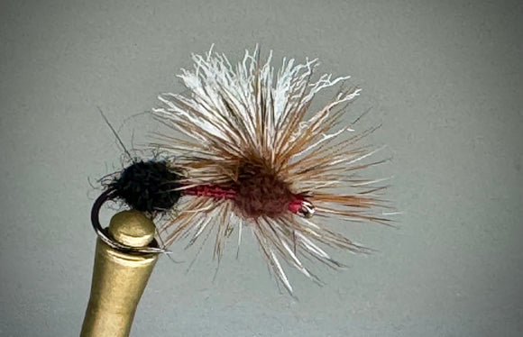 3 TONE ANT (MAHOGANY)