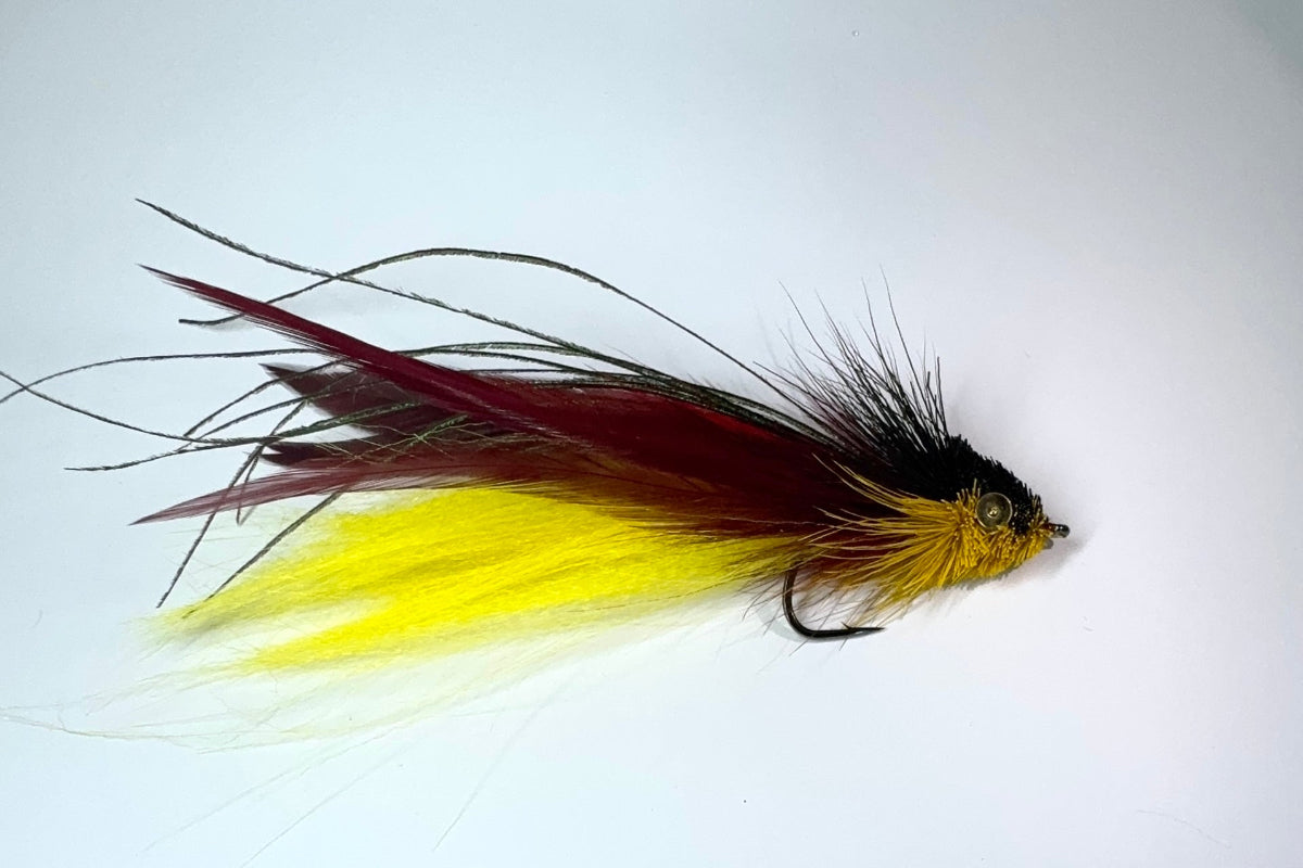 DRESSED DECEIVER (YELLOW/BURGUNDY)