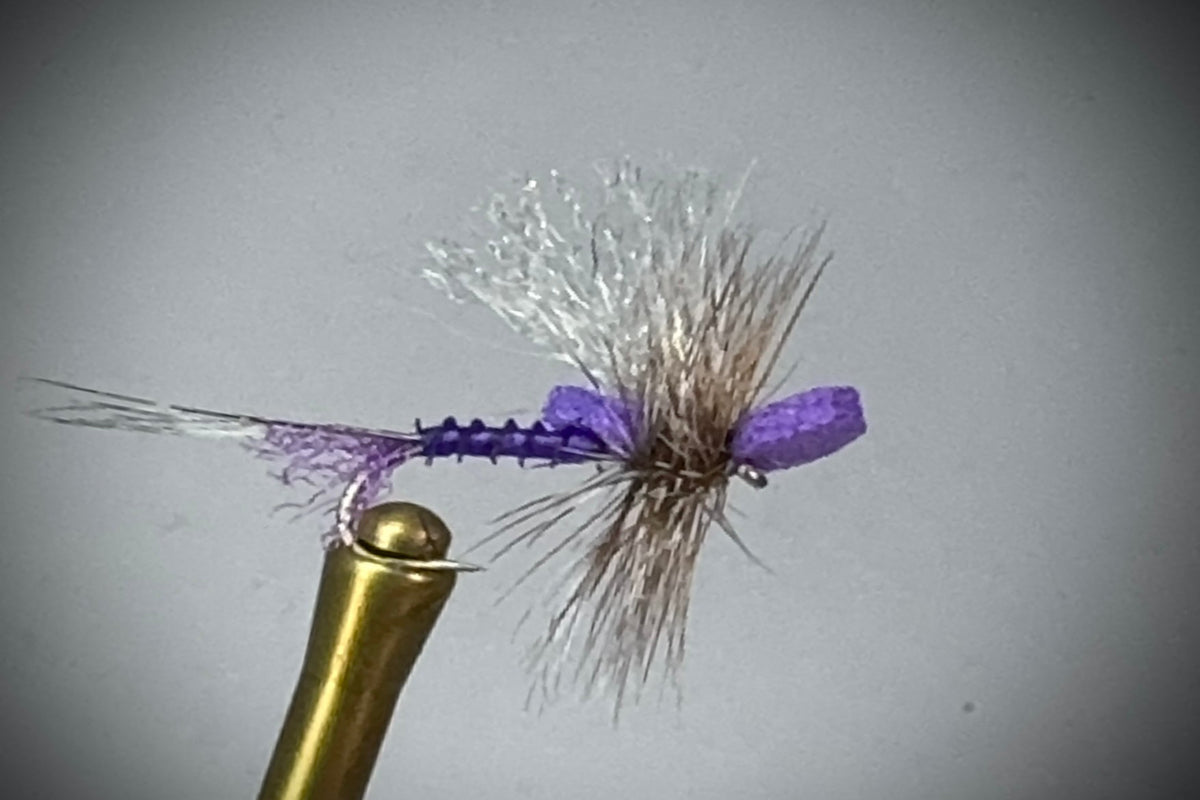 FOAM CRITIC (PURPLE)