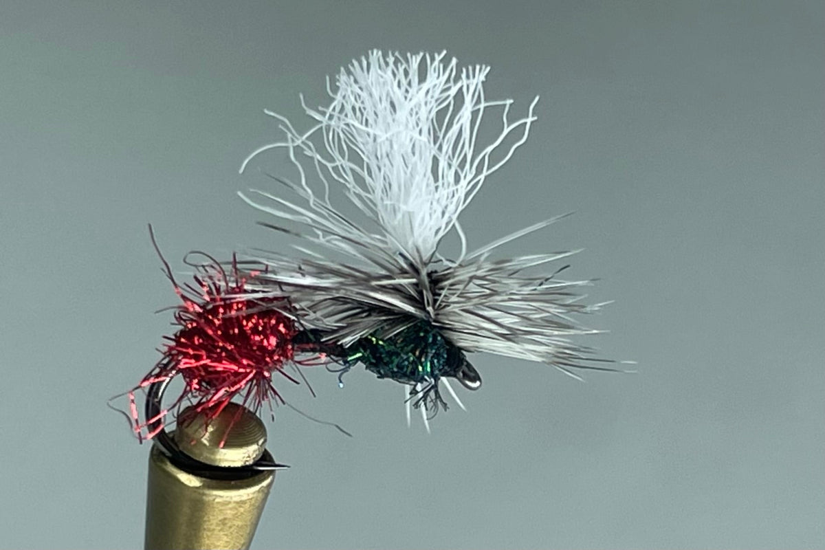 hot butt flying ant fly fishing ant hatches