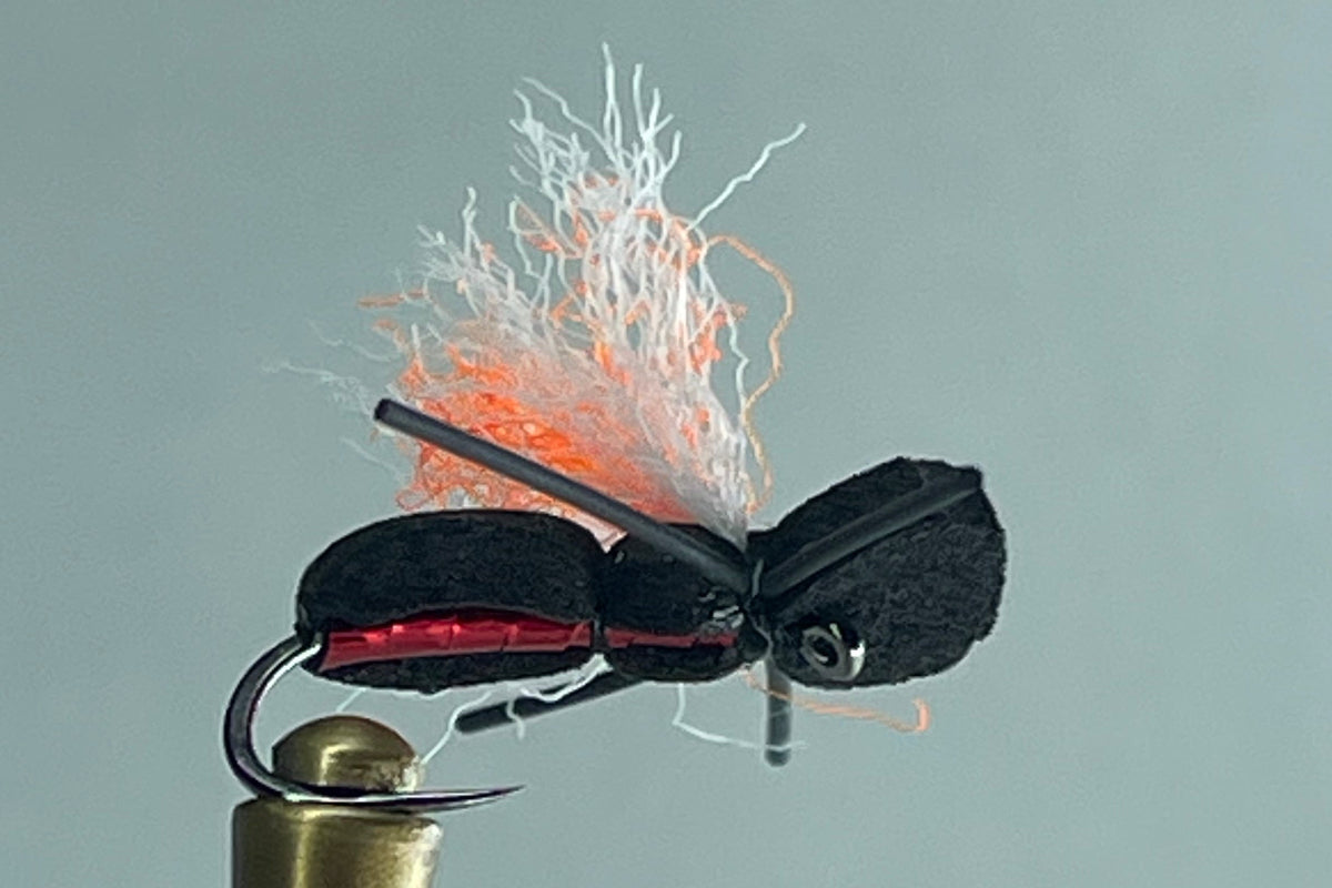 BEETLE PATTERN FLY FISHING