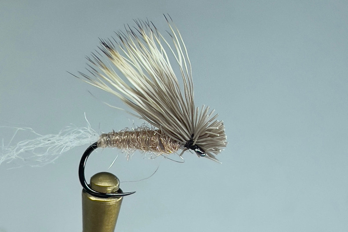 X CADDIS (TAN)