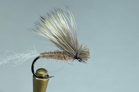 X CADDIS (TAN)