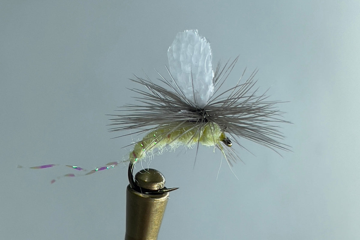 PMD EMERGER