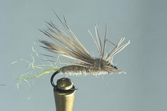EVERYTHING EMERGER (TAN)