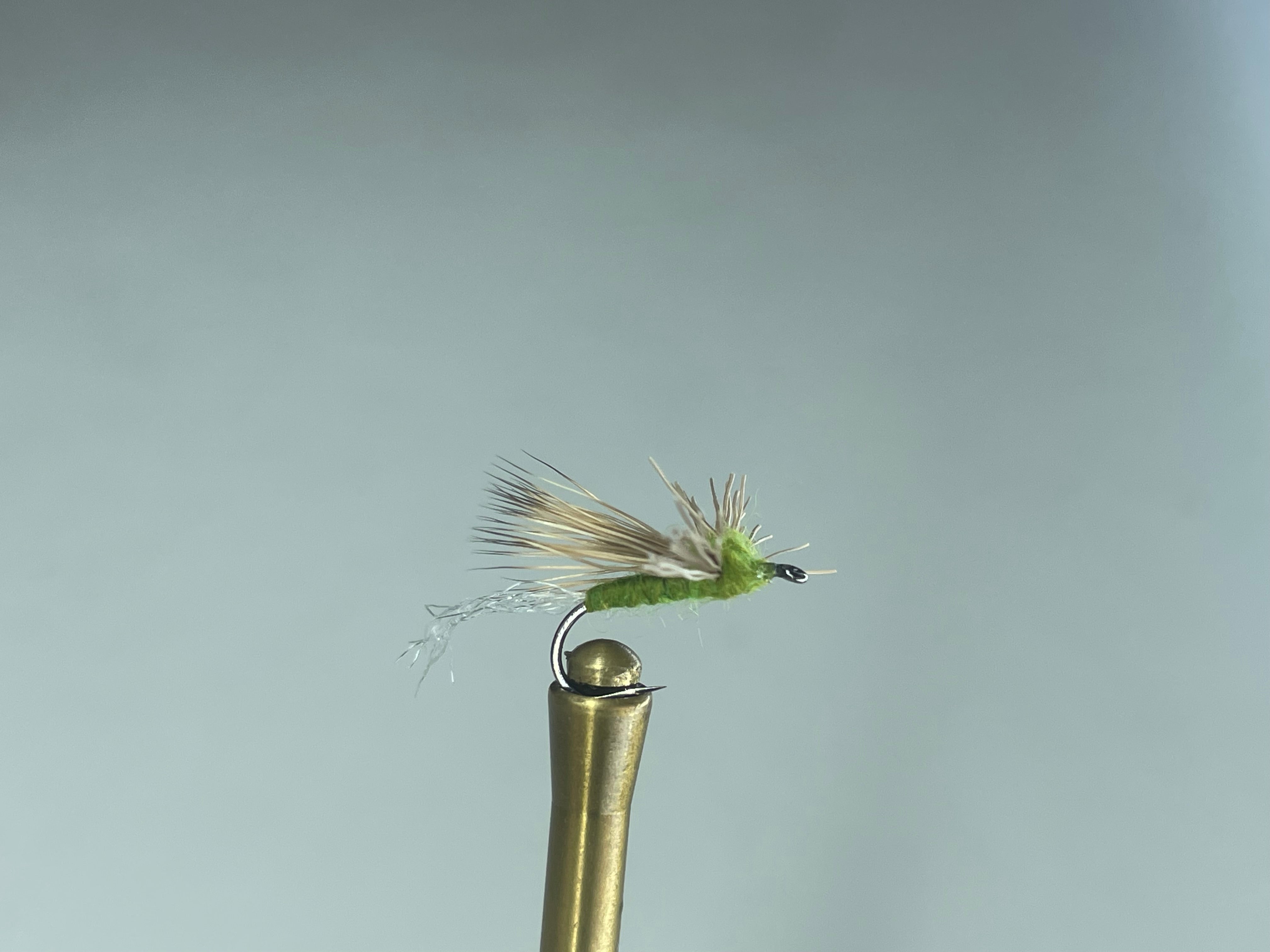 EVERYTHING EMERGER (OLIVE)