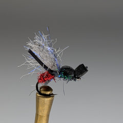 JOEL'S DROWNING ANT (BLACK)