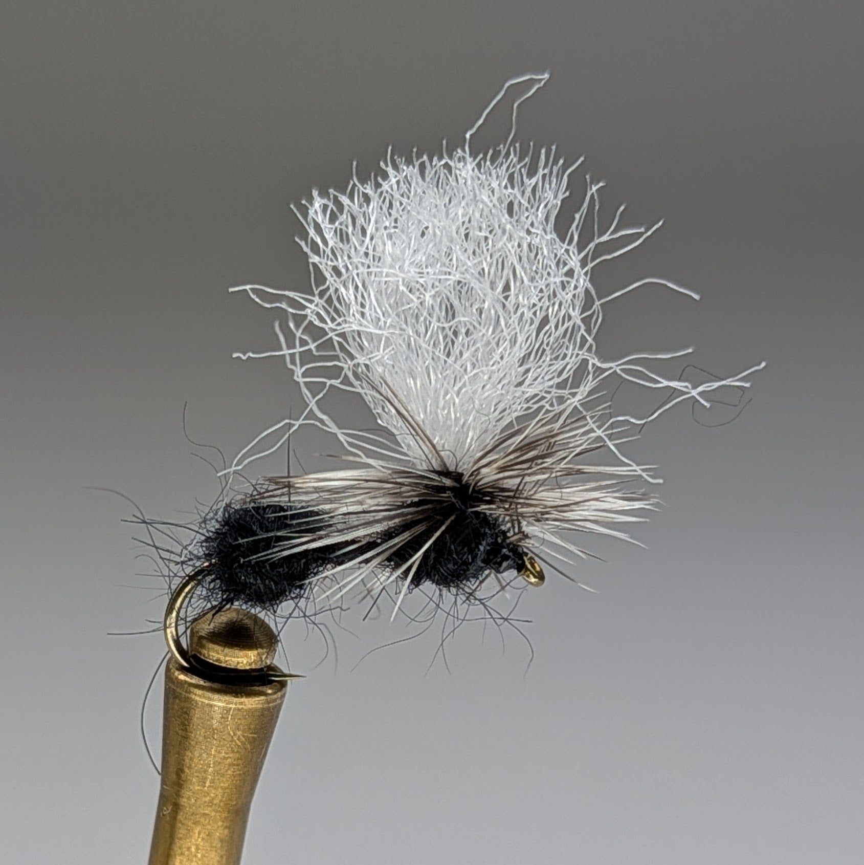 PARACHUTE ANT (BLACK)