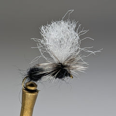 PARACHUTE ANT (BLACK)