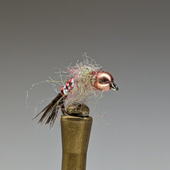 RAINBOW WARRIOR  *TUNGSTEN*