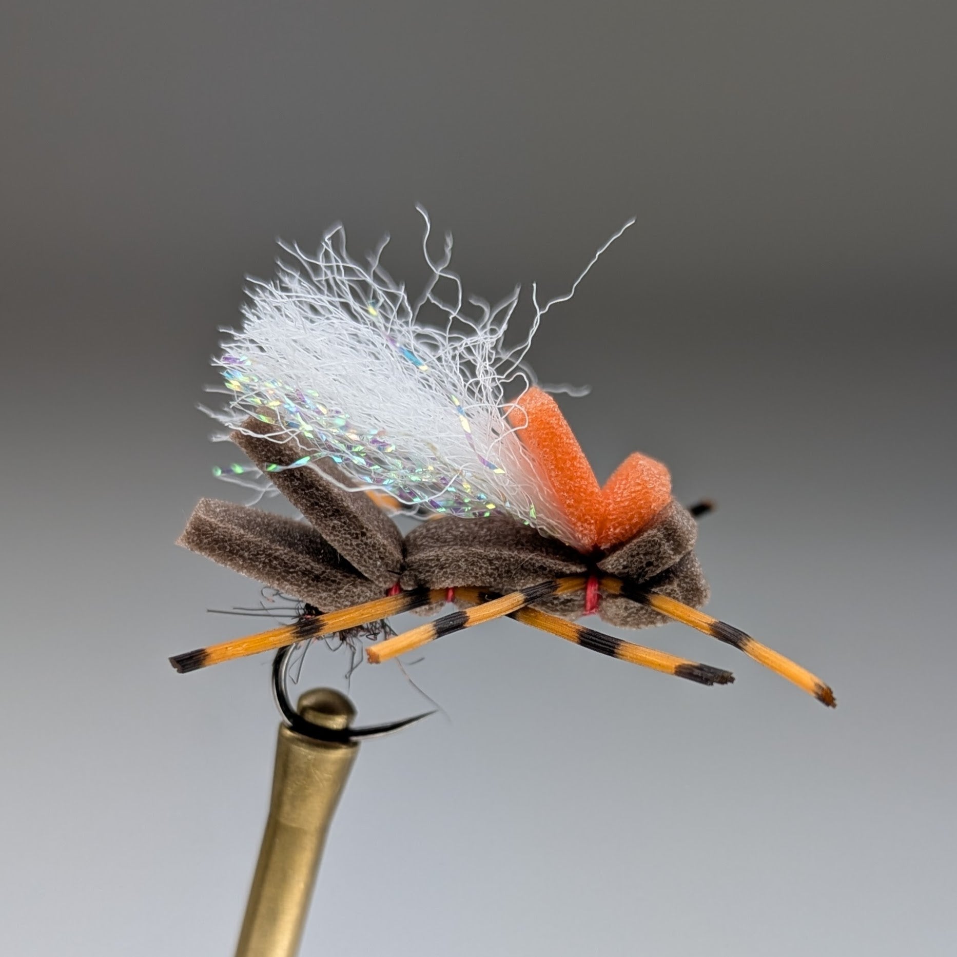TINY DANCER (BROWN)