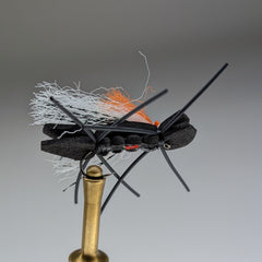 TRIGGER ANT (BLACK)
