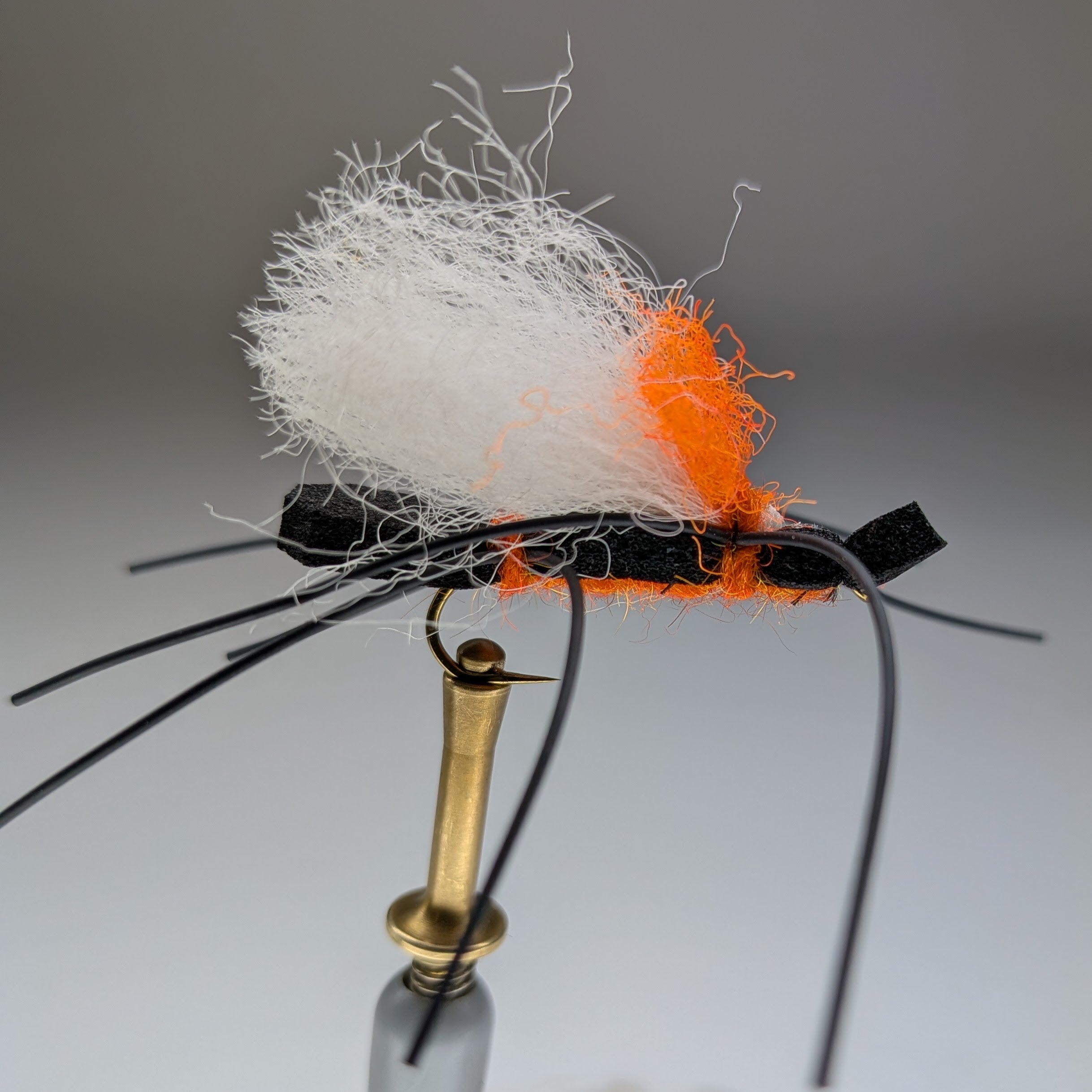 WILLY'S ANT (ORANGE)