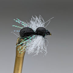 ANT B (BLACK)