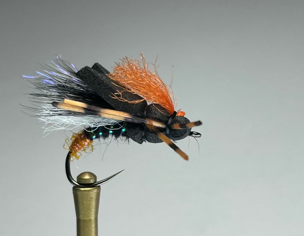 BANK MAGGOT (BLACK)