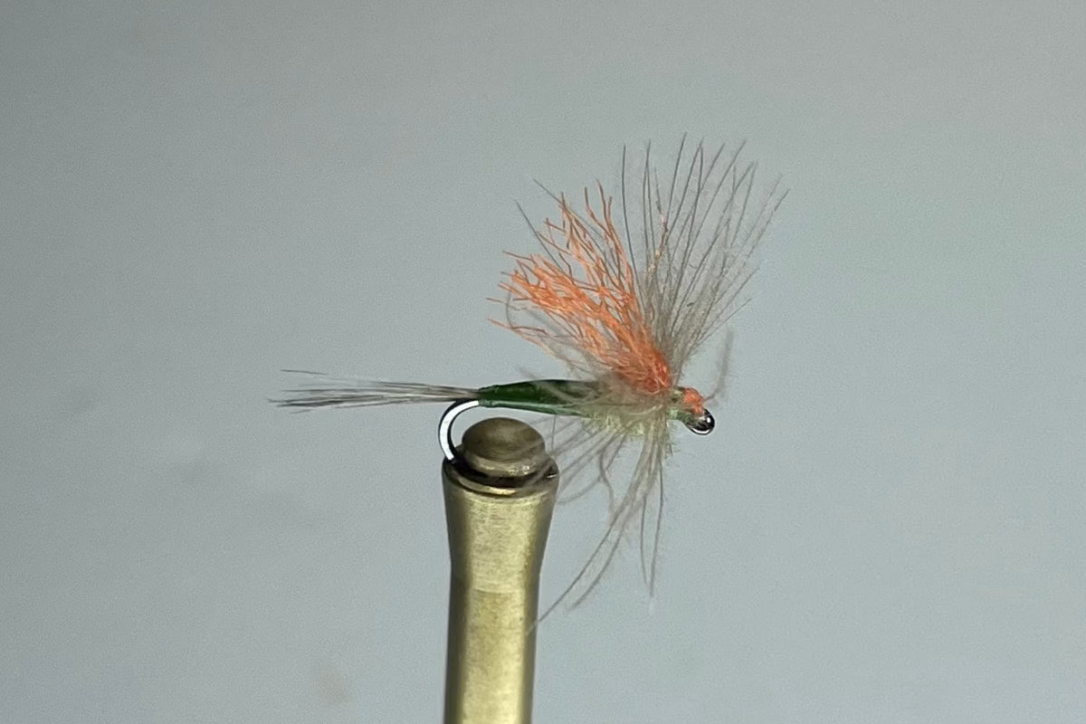 DUCK WING DUN (BWO)