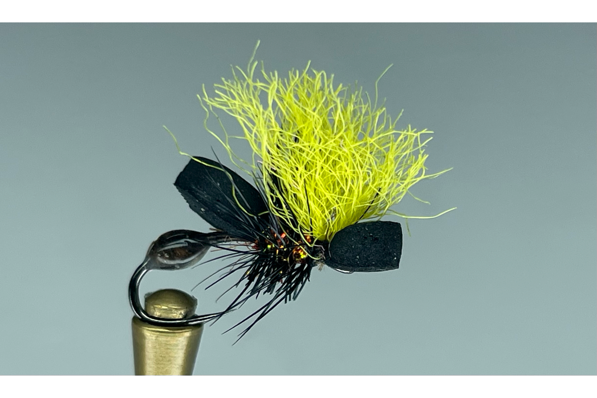 PISS ANT (COPPER/BROWN)