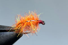 CARPET SOW BUG (DEAD ORANGE)