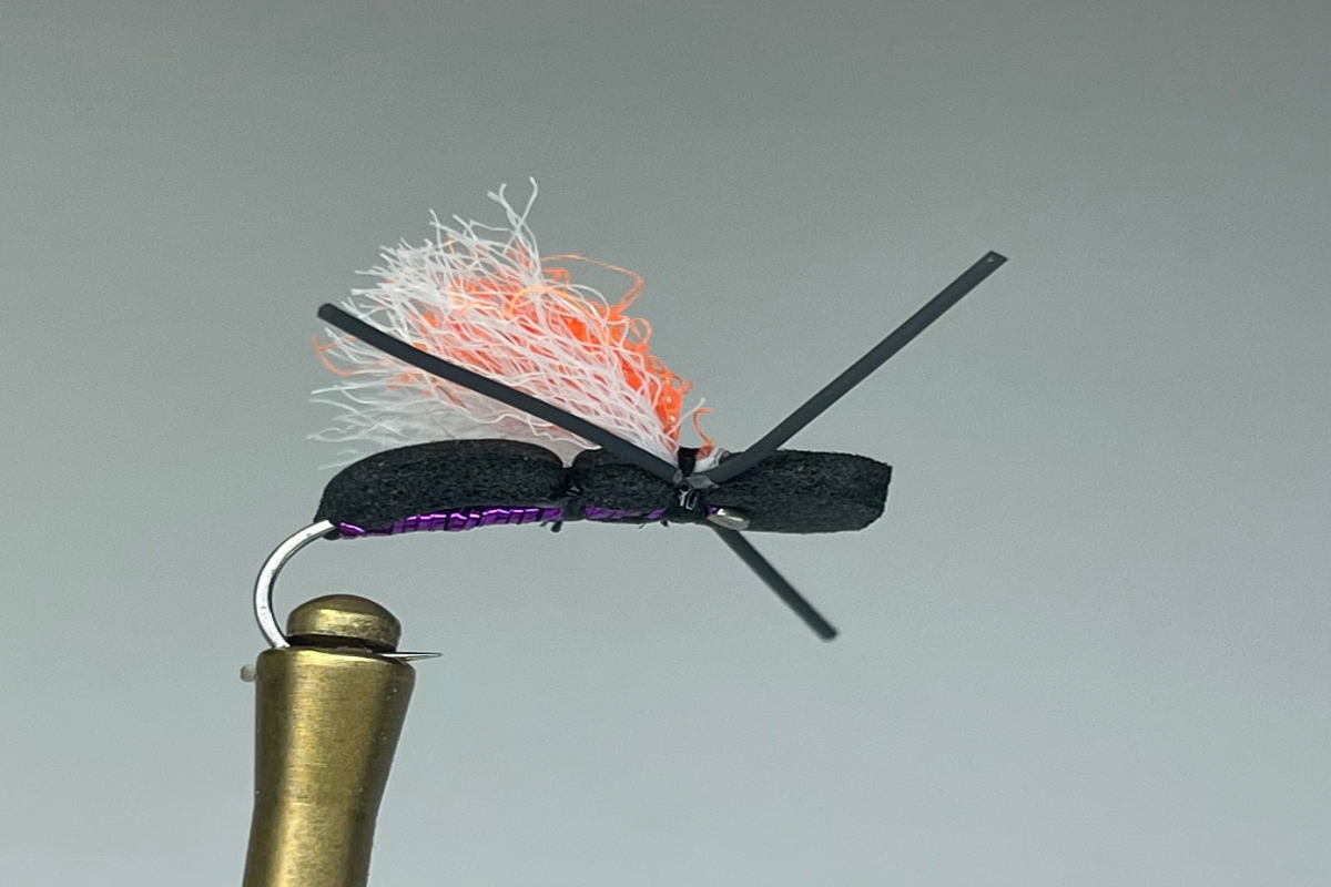 CHEETO BEETLE (PURPLE)