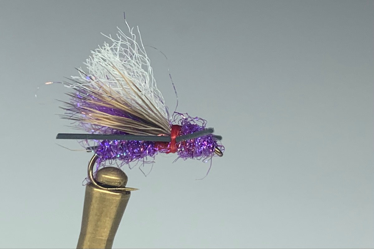 ANT ACID (PURPLE HAZE)