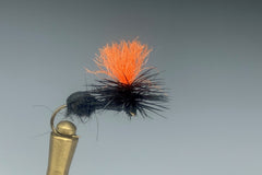 ANTE UP (HI-VIS - BLACK)