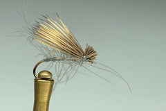 CDC ELK HAIR CADDIS (GRAY)