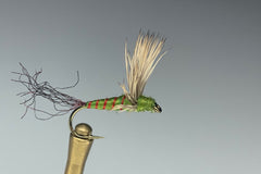 COMPARA DUN (GREEN/RED)