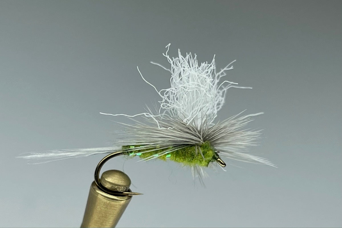 CRYSTAL WULFF (OLIVE)