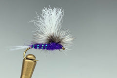 CRYSTAL WULFF (PURPLE)