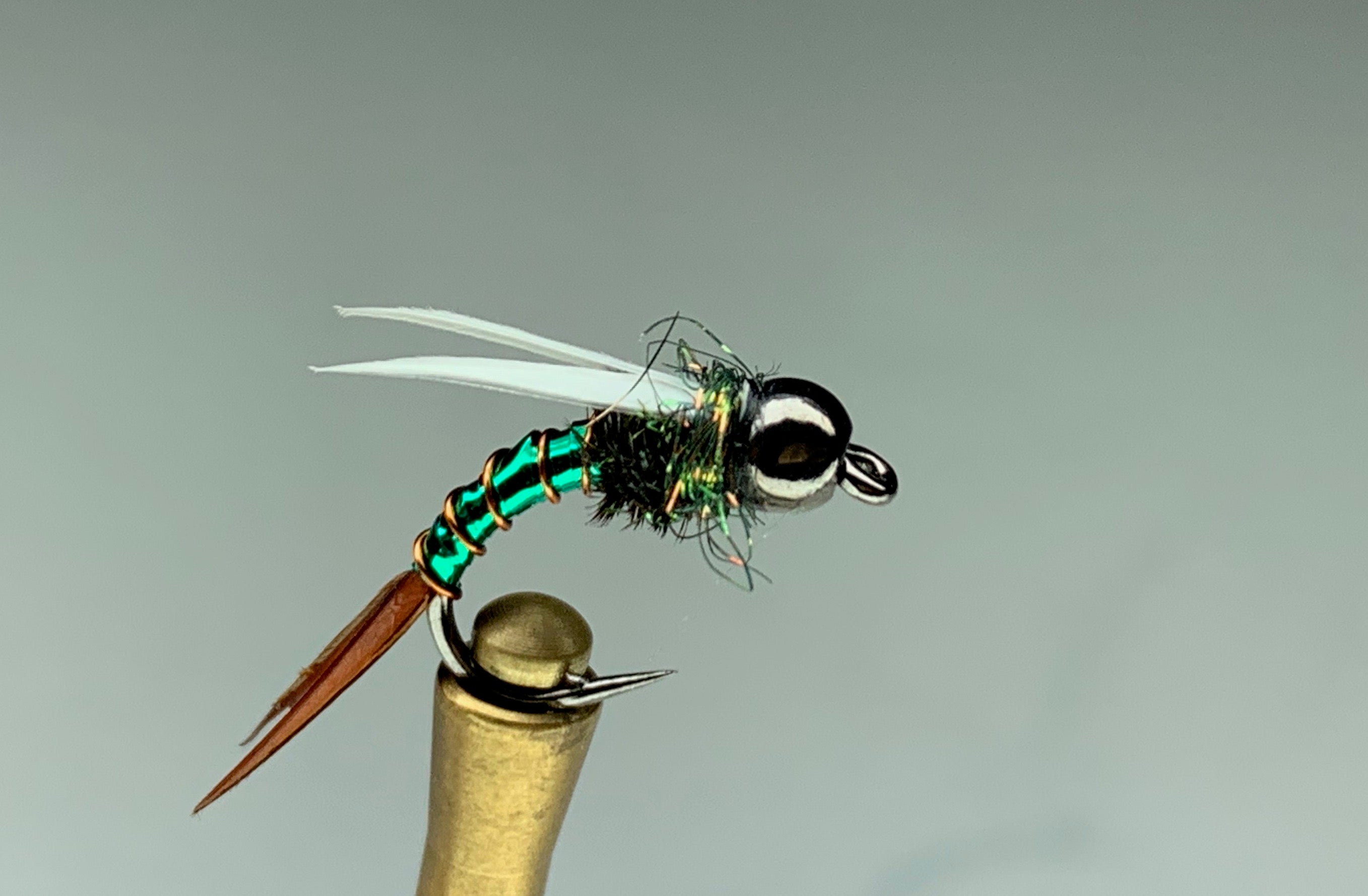 ELECTRIC PRINCE (BLACK HEAD) *TUNGSTEN*
